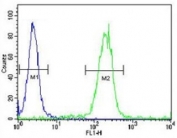 EGR1 antibody flow cytometric analysis of WiDr cells (right histogram) compared to a <a href=../search_result.php?search_txt=n1001>negative control</a> (left histogram). FITC-conjugated goat-anti-rabbit secondary Ab was used for the analysis.