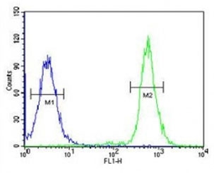 A2ML1 antibody flow cytometric analysis of 293 cells (right histogram) compared to a <a href=../search_result.php?search_txt=n1