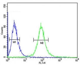CD46 antibody flow cytometric analysis of CEM cells (green) compared to a <a href=../search_result.php?search_txt=n1001>negative control</a> (blue). FITC-conjugated goat-anti-rabbit secondary Ab was used for the analysis.