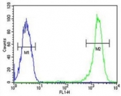 Caspase-3 antibody flow cytometric analysis of CEM cells (right histogram) compared to a negative control cell (left histogram). FITC-conjugated goat-anti-rabbit secondary Ab was used for the analysis.