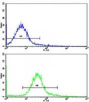 Flow cytometric analysis of HeLa cells using CA9 antibody (bottom histogram) compared to a negative control (top histogram). FITC-conjugated goat-anti-rabbit secondary Ab was used for the analysis.