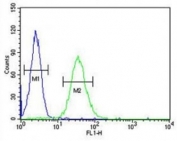 CD80 antibody flow cytometric analysis of HL-60 cells (right histogram) compared to a negative control (left histogram). FITC-conjugated goat-anti-rabbit secondary Ab was used for the analysis.