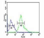 XBP1 antibody flow cytometric analysis of Ramos cells (right histogram) compared to a negative control (left histogram). FITC-conjugated goat-anti-rabbit secondary Ab was used for the analysis.