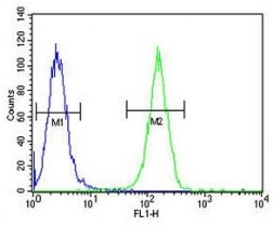 XRCC6 antibody flow cytometric analysis of A2058 cells (green) compared to a <a href=../search_result.php?search_txt=n1001>negative control</a> (blue). FITC-conjugated goat-anti-rabbit secondary Ab was used for the analysis.