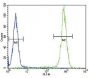 IL-4 antibody flow cytometric analysis of WiDr cells (right histogram) compared to a negative control (left histogram). FITC-conjugated goat-anti-rabbit secondary Ab was used for the analysis.-