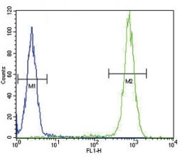 IL-4 antibody flow cytometric analysis of WiDr cells (right histogram) compared to a negative control (left histogram). FITC-conjugated goat-anti-rabbit secondary Ab was used for the analysis.-