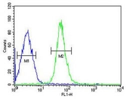 HMGA2 antibody flow cytometric analysis of HepG2 cells (right histogram) compared to a negative control (left histogram). FITC-conjugated goat-anti-rabbit secondary Ab was used for