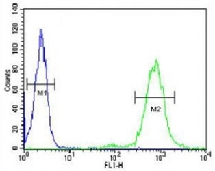 CD69 antibody flow cytometric analysis of HL-60 cells (right histogram) compared to a negative control (left histogram). FITC-conjugated goat-anti-rabbit secondary Ab was used for the analysis.~