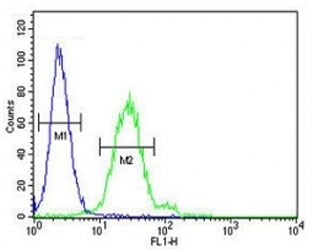 Anti-EpCAM antibody flow cytometric analysis of 293 cells (right histogram) compared to a negative control cell (left histogram). FITC-conjugated goat-anti-rabbit secondary Ab wa