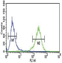 AHR antibody flow cytometric analysis of NCI-H460 cells (green) compared to a <a href=../search_result.php?search_txt=n1001>negative control</a> (blue). FITC-conjugated goat-anti-rabbit secondary Ab was used for the analysis.