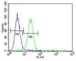 XRCC1 antibody flow cytometric analysis of A375 cells (green) compared to a <a href=../search_result.php?search_txt=n1001>negative control</a> (blue). FITC-conjugated goat-anti-rabbit secondary Ab was used for the analysis.