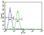 XRCC1 antibody flow cytometric analysis of A375 cells (green) compared to a <a href=