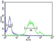 WNT5A antibody flow cytometric analysis of HeLa cells (green) compared to a negative control (blue). FITC-conjugated goat-anti-rabbit secondary Ab was used for the analysis.