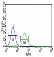 TCF4 antibody flow cytometric analysis of K562 cells (green) compared to a <a href=../search_result.php?search_txt=n1001>negative control</a> (blue). FITC-conjugated goat-anti-rabbit secondary Ab was used for the analysis.