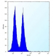 ICOS antibody flow cytometric analysis of Jurkat cells (right histogram) compared to a negative control (left histogram). FITC-conjugated donkey-anti-rabbit secondary Ab was used for the analysis.