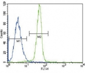 Leptin Receptor antibody flow cytometric analysis of K562 cells (green) compared to a negative control (blue). FITC-conjugated goat-anti-rabbit secondary Ab was used for the analysis.