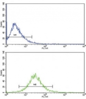 Flow cytometric analysis of HepG2 cells using MMP3 antibody (green) compared to a <a href=../search_result.php?search_txt=n1001>negative control</a> (blue). FITC-conjugated goat-anti-rabbit secondary Ab was used for the analysis.