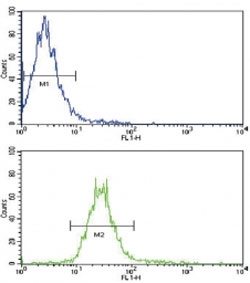 Flow cytometric analysis of NCI-H460 cells using NRG1 antibody (green) compared to a <a href=../search_result.php?search_txt=n1001>negative control</a> (blue). FITC-conjugated goat-anti-rabbit secondary Ab was used for the analysis.