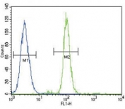 CD14 antibody flow cytometric analysis of A549 cells (right histogram) compared to a negative control (left histogram). FITC-conjugated goat-anti-rabbit secondary Ab was used for the analysis.