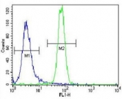 Parkin antibody flow cytometric analysis of NCI-H460 cells (right histogram) compared to a negative control (left histogram). FITC-conjugated goat-anti-rabbit secondary Ab was used for the analysis.