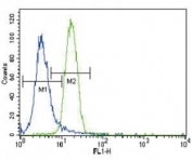 Parkin antibody flow cytometric analysis of NCI-H460 cells (right histogram) compared to a negative control (left histogram). FITC-conjugated goat-anti-rabbit secondary Ab was used for the analysis.