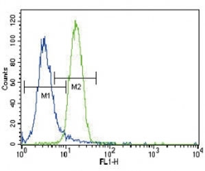 Parkin antibody flow cytometric analysis of NCI-H460 cells (right histogram) compared to a negative control (left histogram). FITC-conjugated goat-anti-rabbit secondary Ab was used for the analysis.