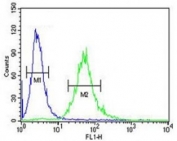 CEA antibody flow cytometric analysis of 293 cells (right histogram) compared to a negative control (left histogram). FITC-conjugated goat-anti-rabbit secondary Ab was used for the analysis.