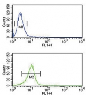 TRAP antibody flow cytometric analysis of NCI-H460 cells (green) compared to a negative control (blue). FITC-conjugated goat-anti-rabbit secondary Ab was used for the analysis.