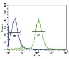 VHL antibody flow cytometric analysis of HepG2 cells (green) compared to a <a href=../search_result.php?search_txt=n1001>negative control</a> (blue). FITC-conjugated goat-anti-rabbit secondary Ab was used for the analysis.