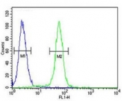 c-Fos antibody flow cytometric analysis of 293 cells (right histogram) compared to a negative control cell (left histogram). FITC-conjugated goat-anti-rabbit secondary Ab was used for the analysis.