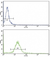 Flow cytometric analysis of MDA-231 cells using WNT10B antibody (green) compared to a negative control (blue). FITC-conjugated goat-anti-rabbit secondary Ab was used for the analysis.