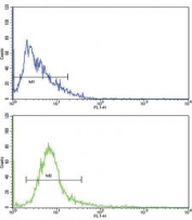 Flow cytometric analysis of human NCI-H292 cells using MRP1 antibody (bottom histogram) compared to a <a href=../search_result.php?search_txt=n1001>negative control</a> (top histogram). FITC-conjugated goat-anti-rabbit secondary Ab was used for the analysis.