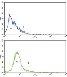 Flow cytometric analysis of human NCI-H292 cells using MRP1 antibody (bottom histogram) compared to a <a href