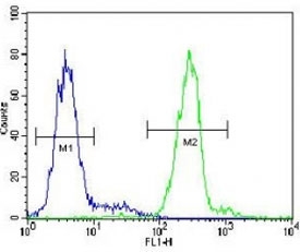 VDAC antibody flow cytometric analysis of HepG2 cells (green) compared to a <a href=../search_result.php?search_txt=n1001>negative control</a> (blue). FITC-conjugated goat-anti-rabbit secondary Ab was used for the analysis.