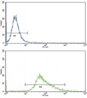 Flow cytometric analysis of MDA-MB468 cells using WNT4 antibody (green) compared to aÂ negative controlÂ (blue). FITC-conjugated goat-anti-rabbit secondary Ab was used for the analysis.