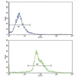 Flow cytometric analysis of WiDr cells using PAX4 antibody (bottom histogram) compared to a negative control (top histogram)