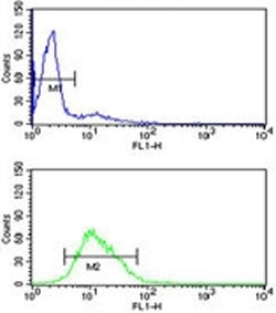 RAN antibody flow cytometry analysis of HL-60 cells (green) compared to a <a href=../search_result.php?search_txt=n1001>negative control</a> (blue). FITC-conjugated goat-anti-rabbit secondary Ab was used for the analysis.