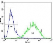 RAN antibody flow cytometric analysis of NIH3T3 cells (green) compared to a <a href=../search_result.php?search_txt=n1001>negative control</a> (blue). FITC-conjugated goat-anti-rabbit secondary Ab was used for the analysis.