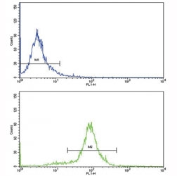 Flow cytometric analysis of HeLa cells using CCL2 antibody (bottom histogram) compared to a negative control (top histogram). FITC-conjugated goat-anti-rabbit secondary Ab was used for the analysis.