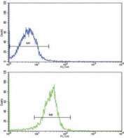 Flow cytometric analysis of WiDr cells using SPARC antibody (green) compared to a negative control (blue). FITC-conjugated goat-anti-rabbit secondary Ab was used for the analysis.