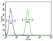Fascin-3 antibody flow cytometric analysis of MDA-MB231 cells (green) compared to a <a href=../search_result.php?search_txt=n1001>negative control</a> (blue). FITC-conjugated goat-anti-rabbit secondary Ab was used for the analysis.