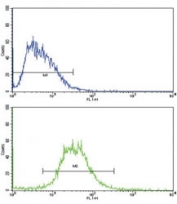 Flow cytometric analysis of HepG2 cells using IL17RB antibody (bottom histogram) compared to a negative control (top histogram). FITC-conjugated goat-anti-rabbit secondary Ab was used for the analysis.
