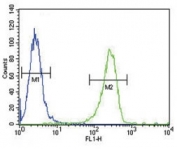 tPA antibody flow cytometric analysis of A2058 cells (green) compared to a <a href=../search_result.php?search_txt=n1001>negative control</a> (blue). FITC-conjugated goat-anti-rabbit secondary Ab was used for the analysis.