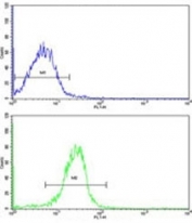 Flow cytometric (intracellular) analysis of WiDr cells using AADAC antibody (bottom histogram) compared to a <a href=../search_result.php?search_txt=n1001>negative control</a> (top histogram). FITC-conjugated goat-anti-rabbit secondary Ab was used for the analysis.