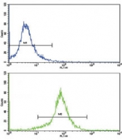Flow cytometric analysis of K562 cells using SOD3 antibody (green) compared to a <a href=../search_result.php?search_txt=n1001>negative control</a> (blue). FITC-conjugated goat-anti-rabbit secondary Ab was used for the analysis.