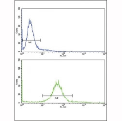 Flow cytometric analysis of 293 cells using PAX8 antibody (bottom histogram) compared to a negative control (top histogram). FITC-conjugated goat-anti-rabbit secondary Ab was used for the analysis.
