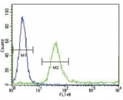IGFBP4 antibody flow cytometric analysis of WiDr cells (green) compared to a <a href=../search_result.php?search_txt=n1001>negative control</a> (blue). FITC-conjugated goat-anti-rabbit secondary Ab was used for the analysis.