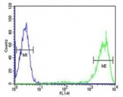 Rab5 antibody flow cytometric analysis of HL-60 cells (right histogram) compared to a negative control (left histogram). FITC-conjugated goat-anti-rabbit secondary Ab was used for the analysis.