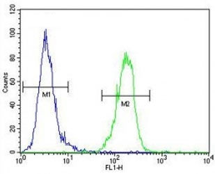 AKT1 antibody flow cytometric analysis of MDA-MB435 cells (green) compared to a negative control (blue).