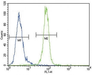 Anti-AKT antibody flow cytometric analysis of MDA-MB435 cells (right histogram) compared to a negative control (left histogram). FITC-conjugated goat-anti-rabbit secondary Ab was used for the analysis.